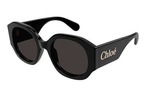 Päikeseprillid Chloé CH0234SK 001