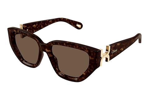 Sonnenbrille Chloé CH0235S 002