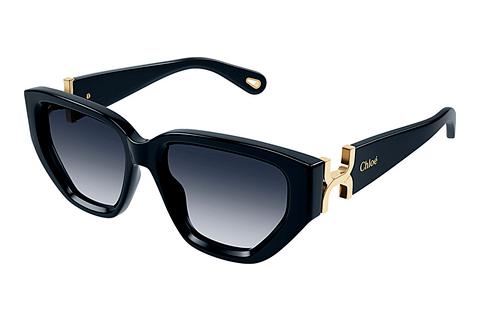 Saulesbrilles Chloé CH0235S 003