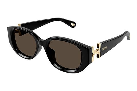 Sonnenbrille Chloé CH0237SK 001