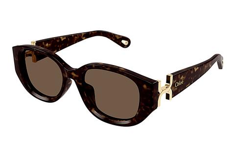 Sonnenbrille Chloé CH0237SK 002