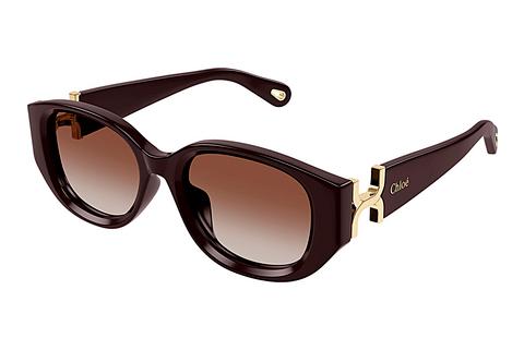 Saulesbrilles Chloé CH0237SK 003