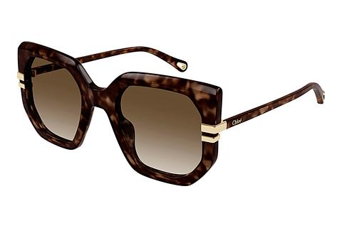 Sonnenbrille Chloé CH0240S 002