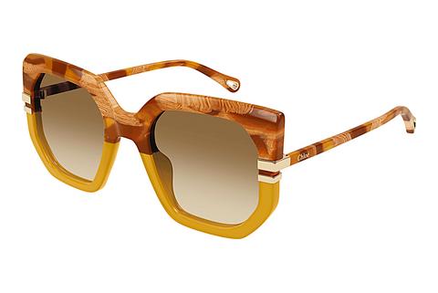 Sonnenbrille Chloé CH0240S 004