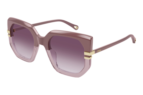 Solglasögon Chloé CH0240S 006