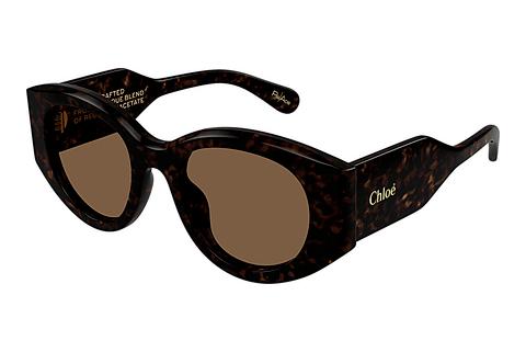 Saulesbrilles Chloé CH0251S 002