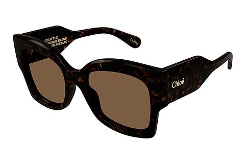 Päikeseprillid Chloé CH0252S 002