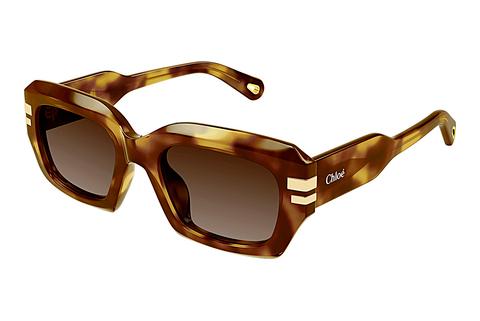 Saulesbrilles Chloé CH0256S 002