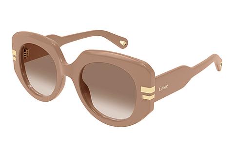 Sonnenbrille Chloé CH0257S 005