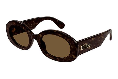 Lunettes de soleil Chloé CH0258S 002