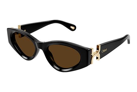 Sonnenbrille Chloé CH0259S 001