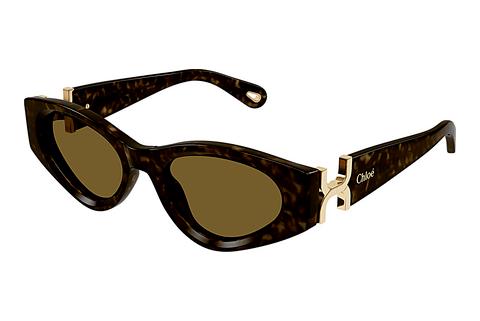 Ophthalmic Glasses Chloé CH0259S 002