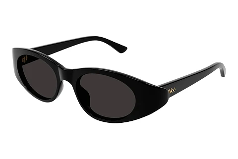 Solglasögon Chloé CH0279S 001