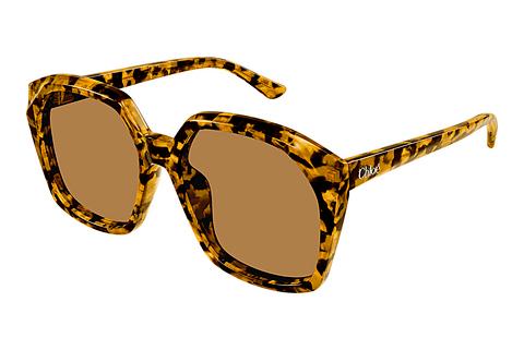 Sonnenbrille Chloé CH0280S 007