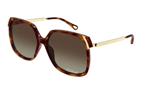 Päikeseprillid Chloé CH0286S 002