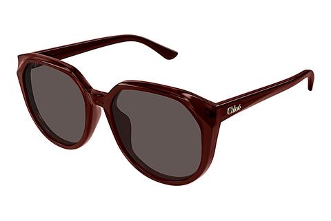 Sonnenbrille Chloé CH0291SK 002