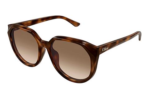 Lunettes de soleil Chloé CH0291SK 003