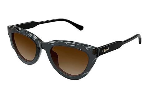 Lunettes de soleil Chloé CH0294S 005