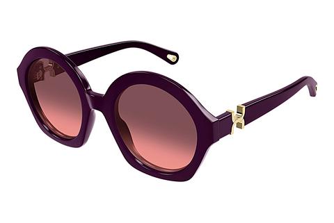 Lunettes de soleil Chloé CH0302S 005