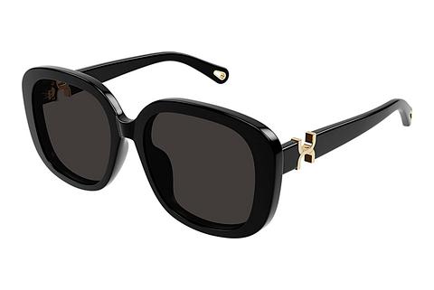 Sonnenbrille Chloé CH0303SK 001