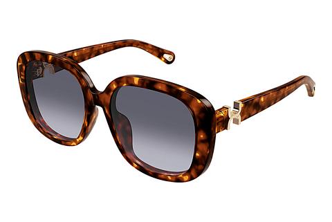 Sonnenbrille Chloé CH0303SK 002