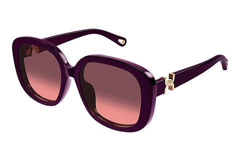 Sonnenbrille Chloé CH0303SK 005