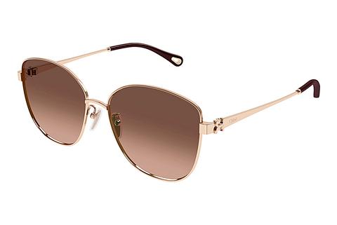 Saulesbrilles Chloé CH0306SK 002