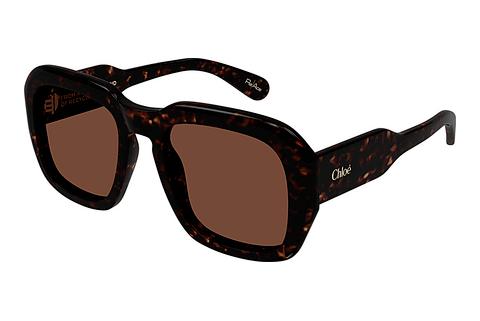 Ophthalmic Glasses Chloé CH0310S 002