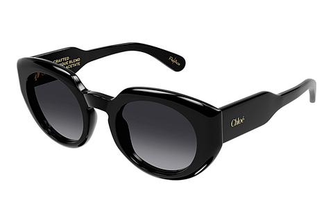 Sonnenbrille Chloé CH0311S 001