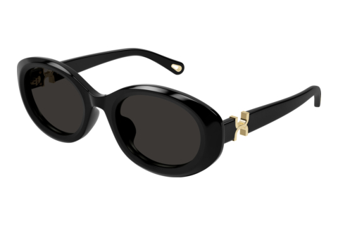 Sluneční brýle Chloé CH0323SK 001