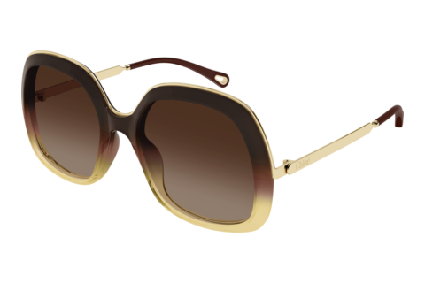 Solglasögon Chloé CH0327S 006