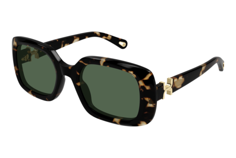 Solglasögon Chloé CH0333S 002