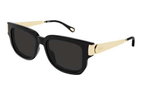 Ophthalmic Glasses Chloé CH0351S 001