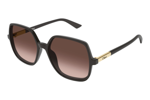 Ophthalmic Glasses Chloé CH0362S 003