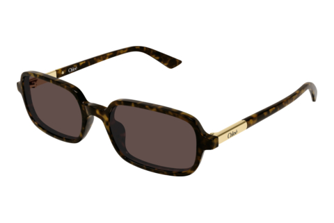 Ophthalmic Glasses Chloé CH0363S 002
