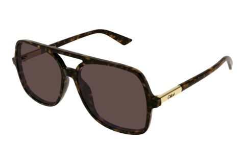 Ophthalmic Glasses Chloé CH0364S 002
