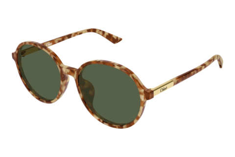 Ochelari de soare Chloé CH0365SK 004