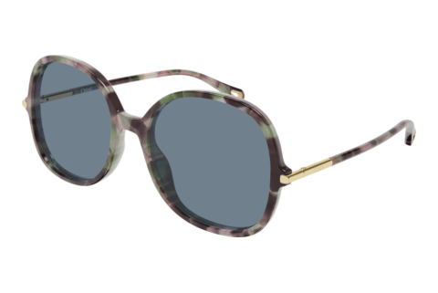 Ophthalmic Glasses Chloé CH0383S 003