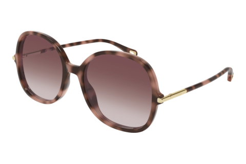 Ophthalmic Glasses Chloé CH0383S 004
