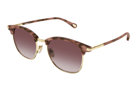 Ophthalmic Glasses Chloé CH0384S 004