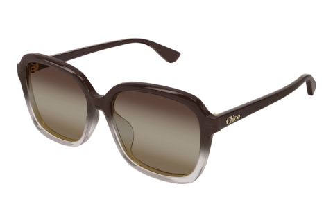 Solglasögon Chloé CH0390SK 003