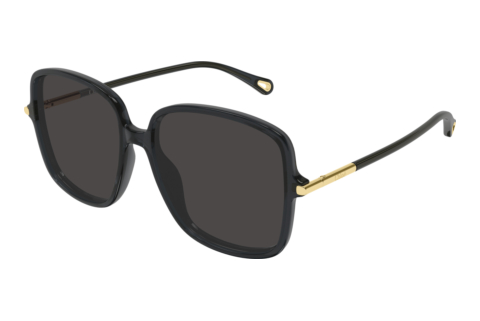 Ophthalmic Glasses Chloé CH0396S 001