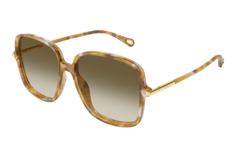 Ophthalmic Glasses Chloé CH0396S 003