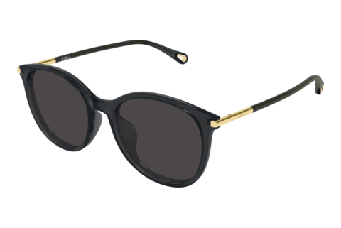 Ophthalmic Glasses Chloé CH0397SK 001