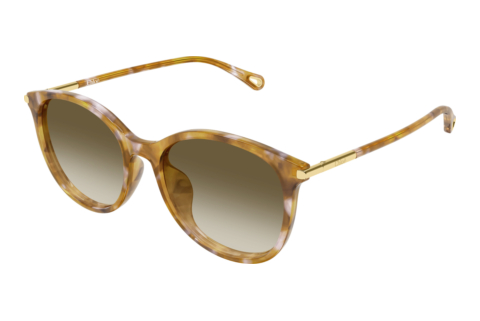 Ophthalmic Glasses Chloé CH0397SK 003