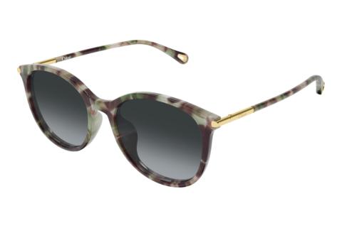 Ophthalmic Glasses Chloé CH0397SK 004