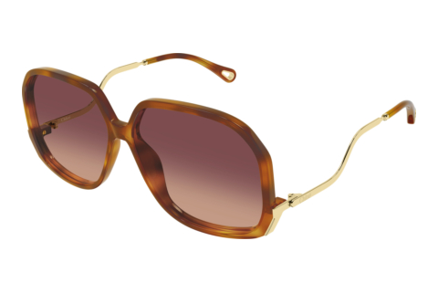 Ophthalmic Glasses Chloé CH0404S 001