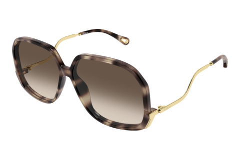 Ophthalmic Glasses Chloé CH0404S 003