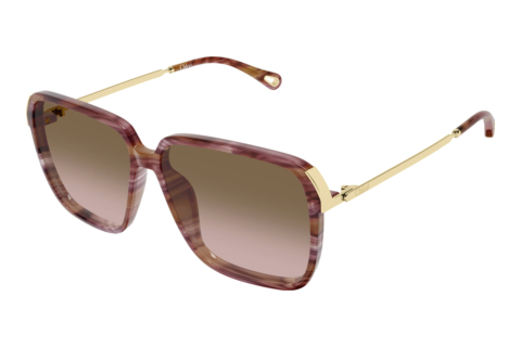 Ophthalmic Glasses Chloé CH0405S 002