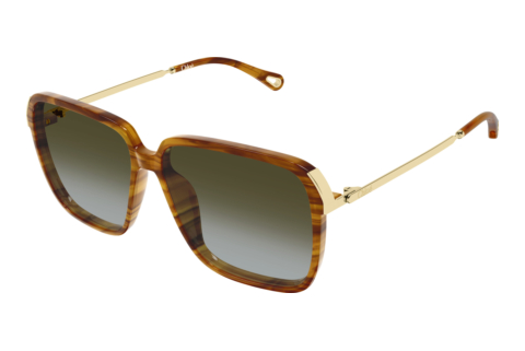 Ophthalmic Glasses Chloé CH0405S 003
